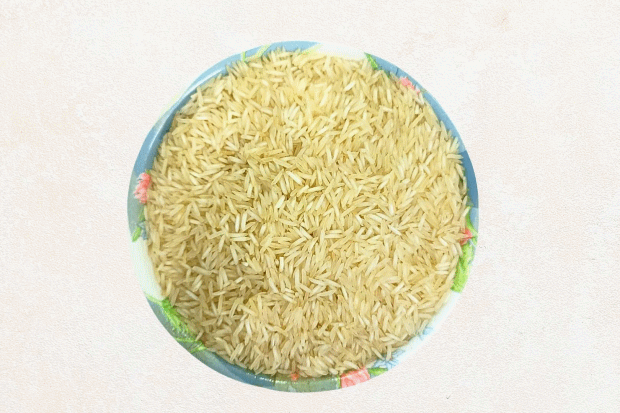 Tibar Rice